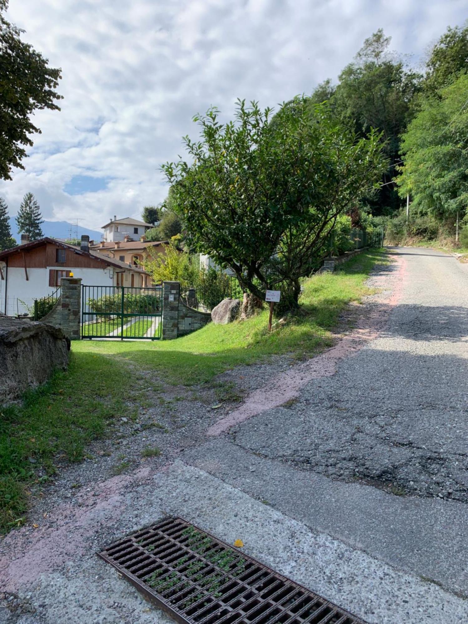 Casa Savina - Stupenda Vista Lago E Monti Plesio Eksteriør billede